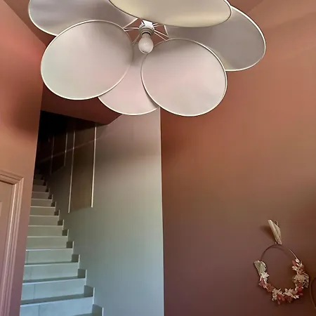 Les Nuits Insouciantes سانت أفريك